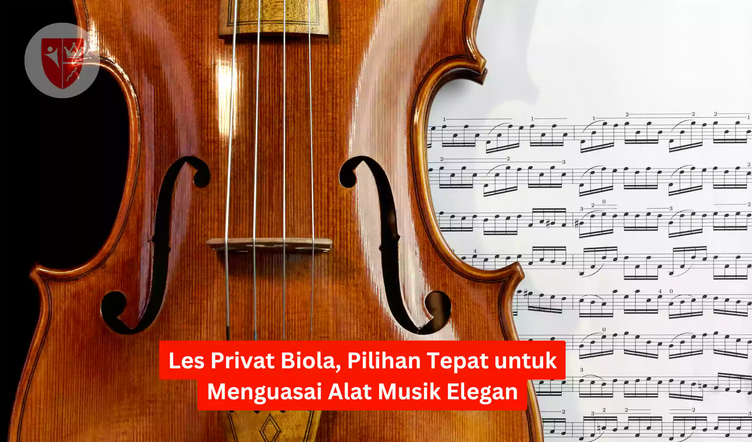 Les Privat Biola, Pilihan Tepat untuk Menguasai Alat Musik Elegan