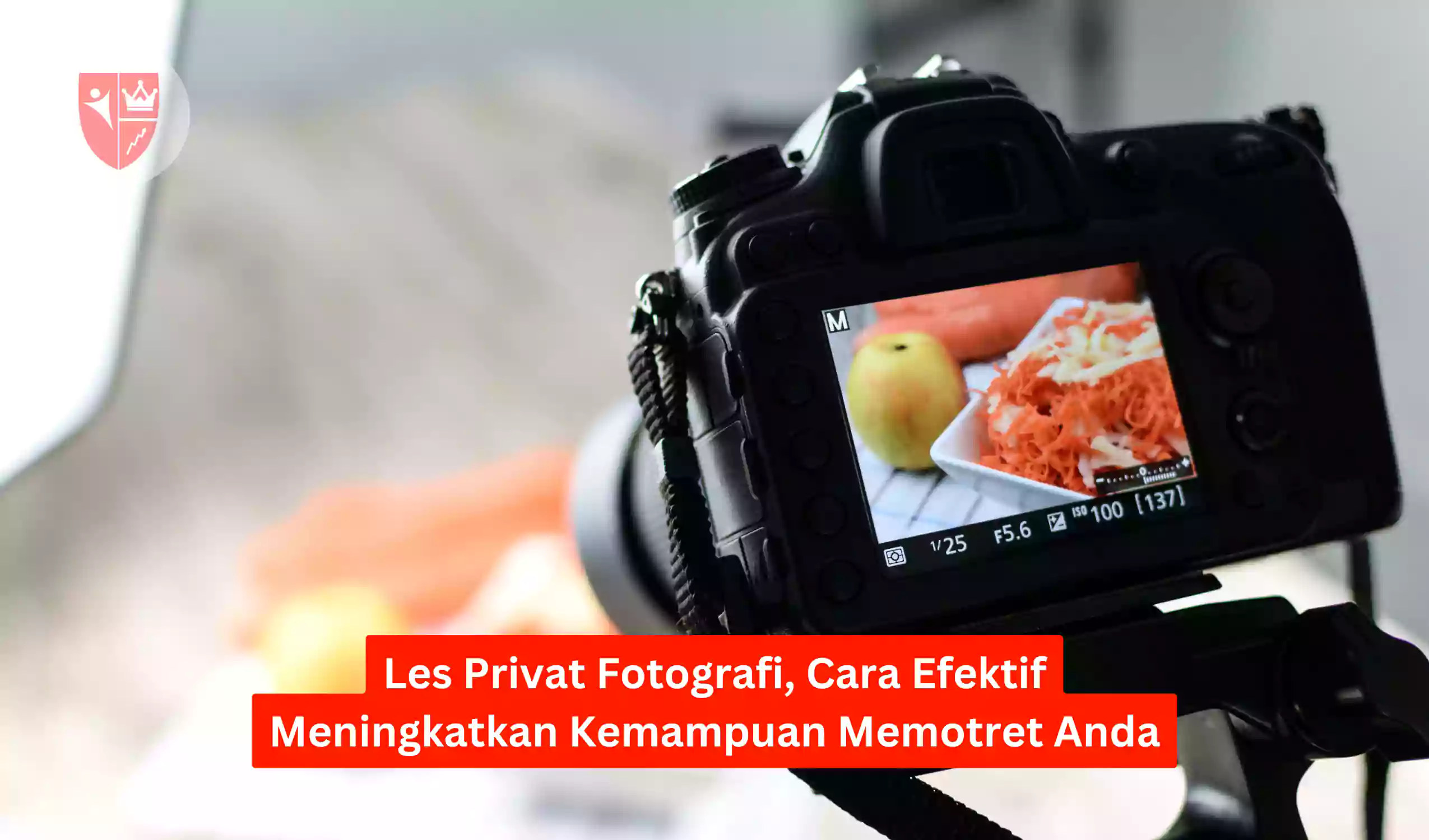 Les Privat Fotografi, Cara Efektif Meningkatkan Kemampuan Memotret Anda